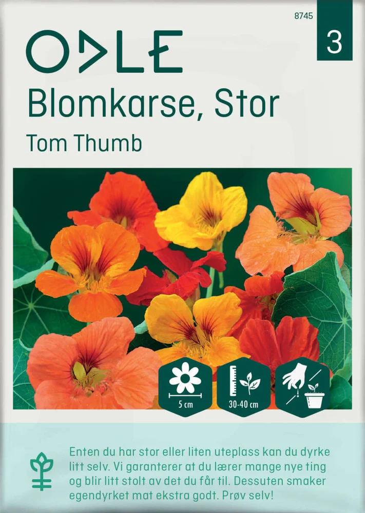 Odle ' Tom Thumb' stor blomkarse frø v:2741648