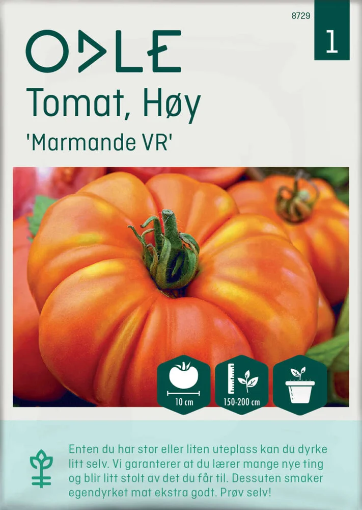 Odle ' Marmande VR' høy tomat frø v:7448992
