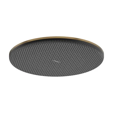 Raindance Alive S Hansgrohe Hodedusj 4080686 Raindance Alive S Hansgrohe Hodedusj 4080686