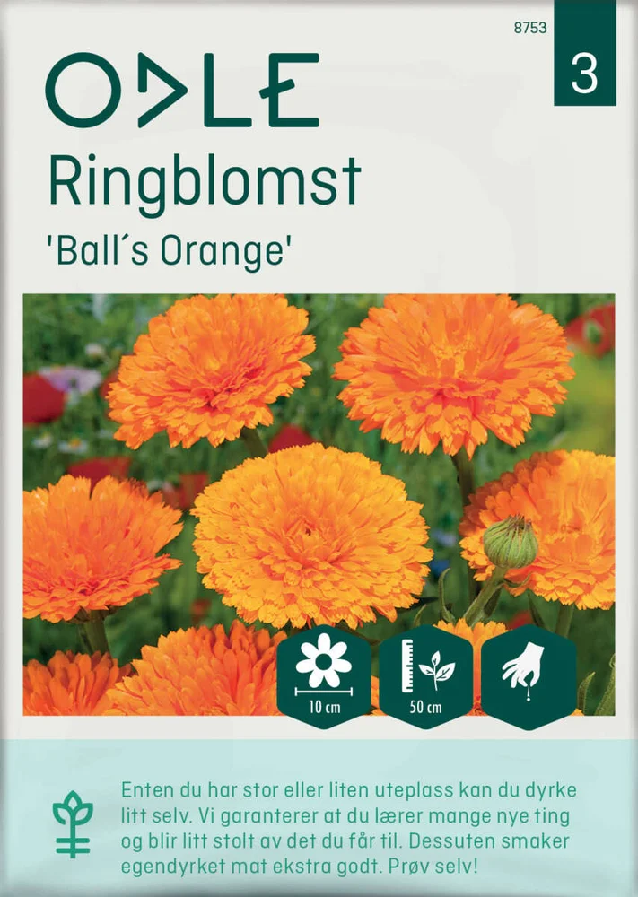Odle 'BallS Orange' ringblomst frø v:3390524