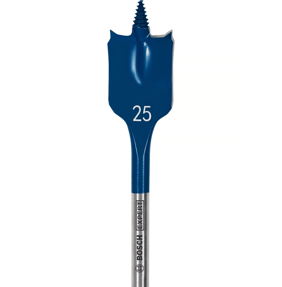 Bosch Sentrumsbore EXPERT, 25x152 mm v:1373114