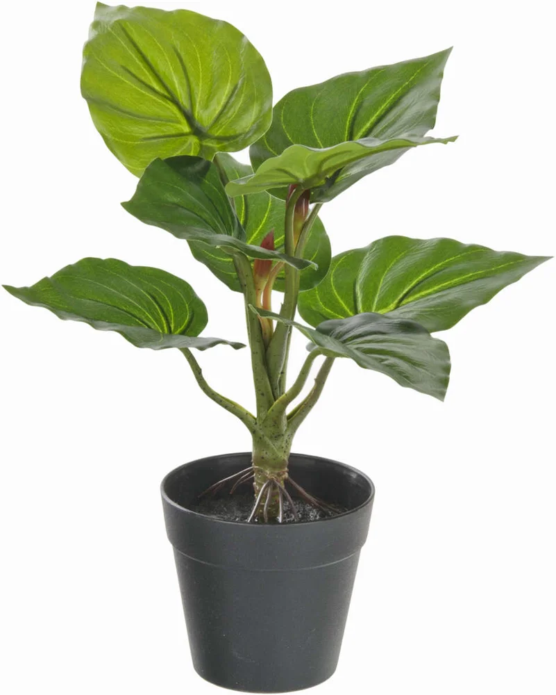 Kunstig plante 30 cm v:2580305