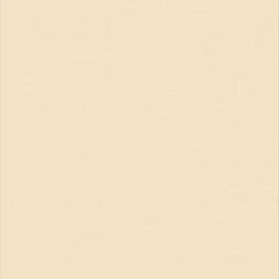VINYL WALLGARD 224 v:3790206