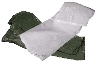 PRESENNING 120GR 2,5X3,6M G v:4793755