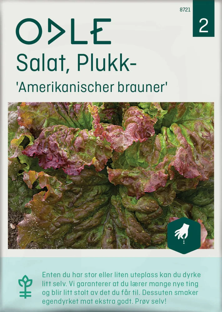 Odle 'Amerikanischer brauner' plukk salat frø v:8885947