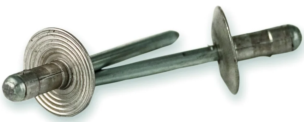 BLINDNAGLE AVEX STOR SKALLE v:4367188