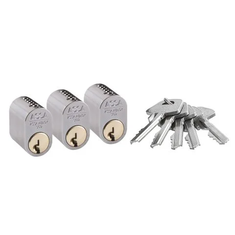 1301 ASSA Låsesylinder 3019902